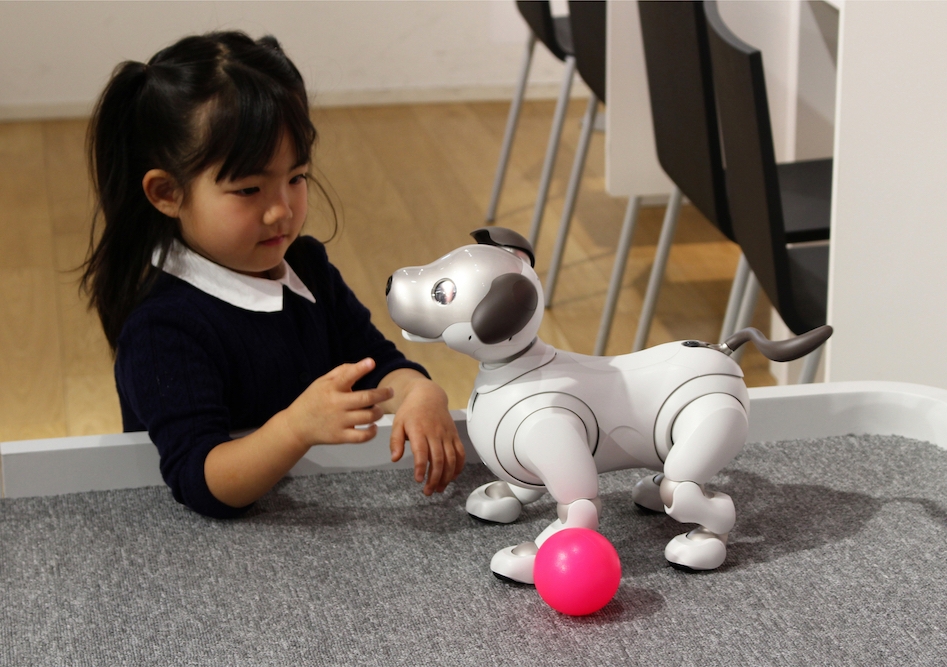 The grace of having a pet robot at home